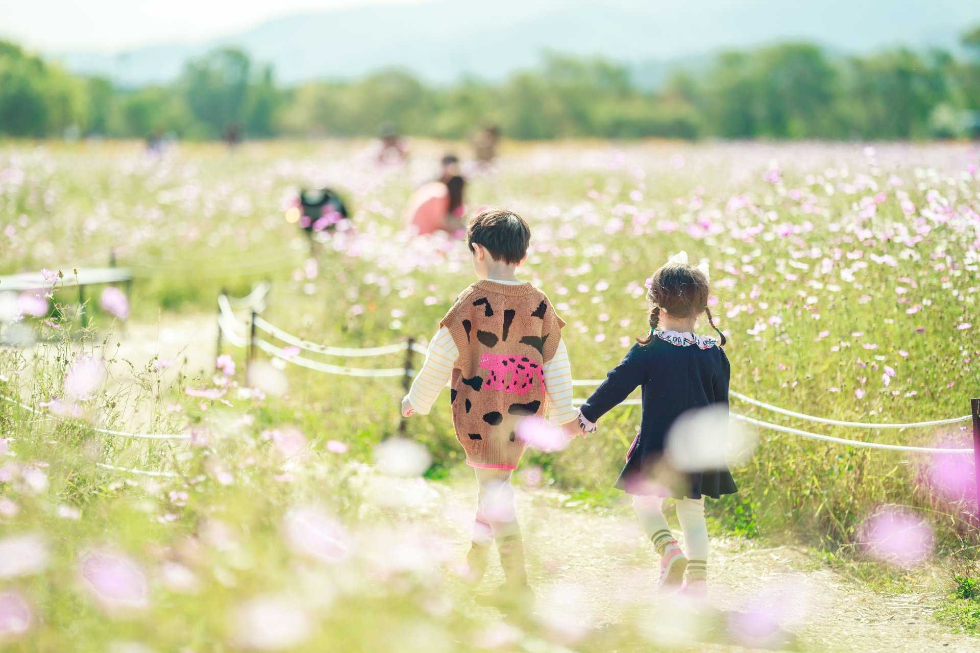 남양주 물의 정원