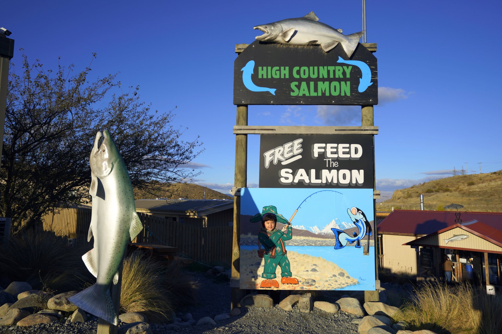 New Zealand: High Country Salmon