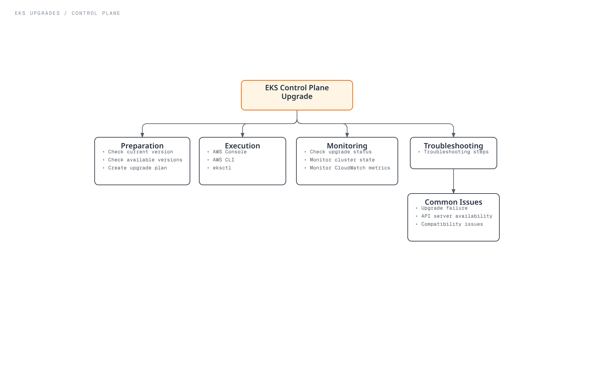 Tree diagram showing the four stages of a control plane upgrade: preparation, execution via console/CLI/eksctl, monitoring, and troubleshooting common issues.